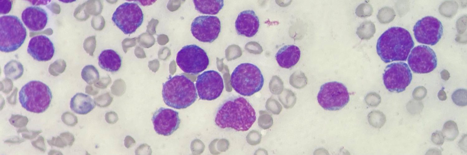 High-resolution microscopic image of blood cells