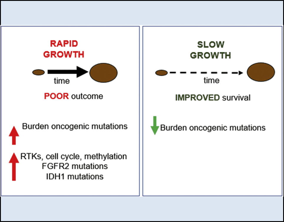 Scientific illustration showing a graphical abstract of fast-growing melanomas for an academic paper