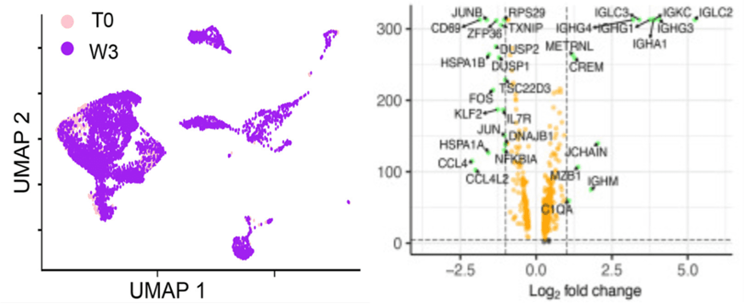 UMAP Graphic from paper