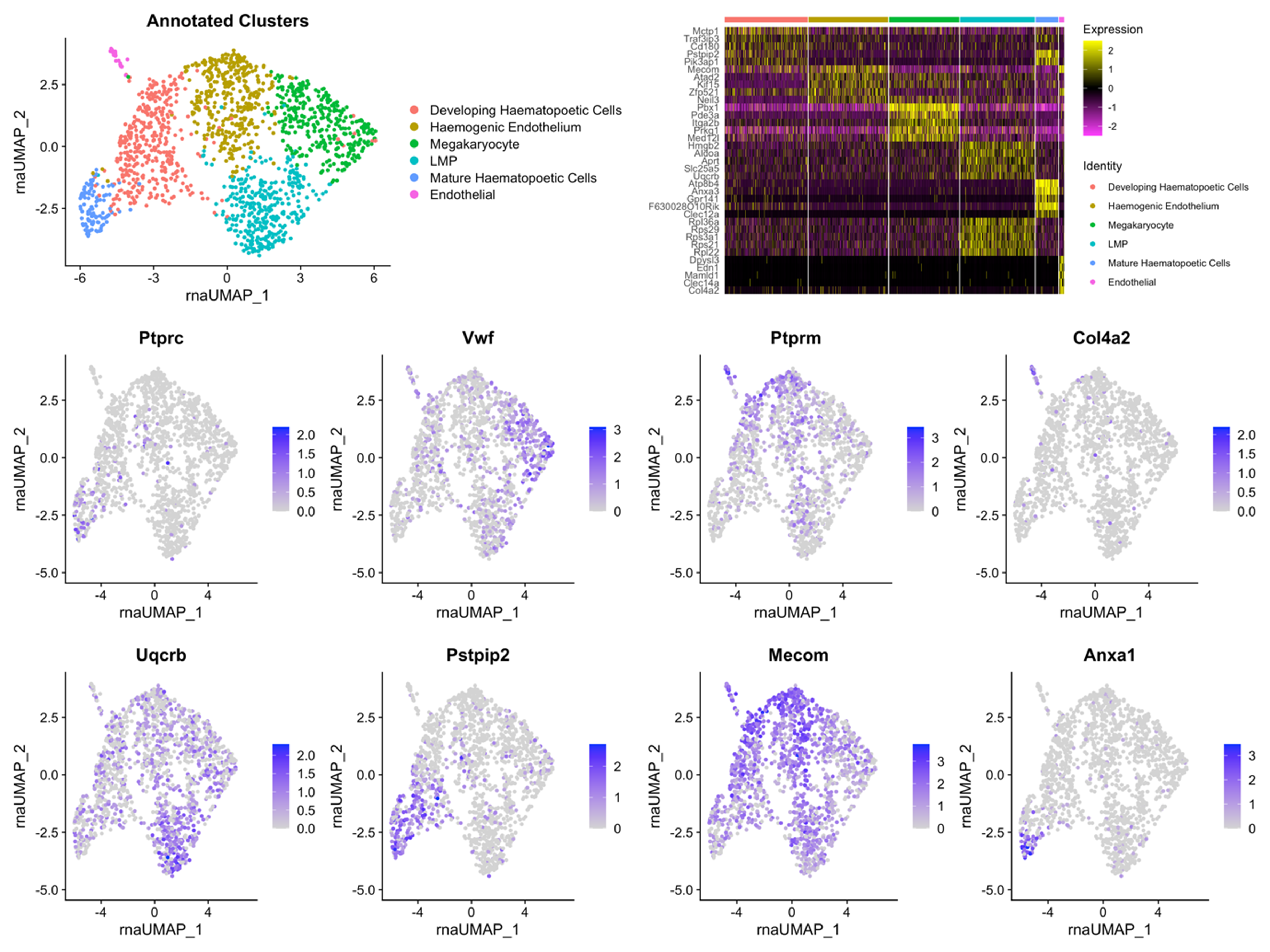 Marker based cluster annotation of 10X scRNA-Seq