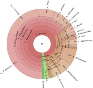 Image of metagenomic analysis of gut microbiome