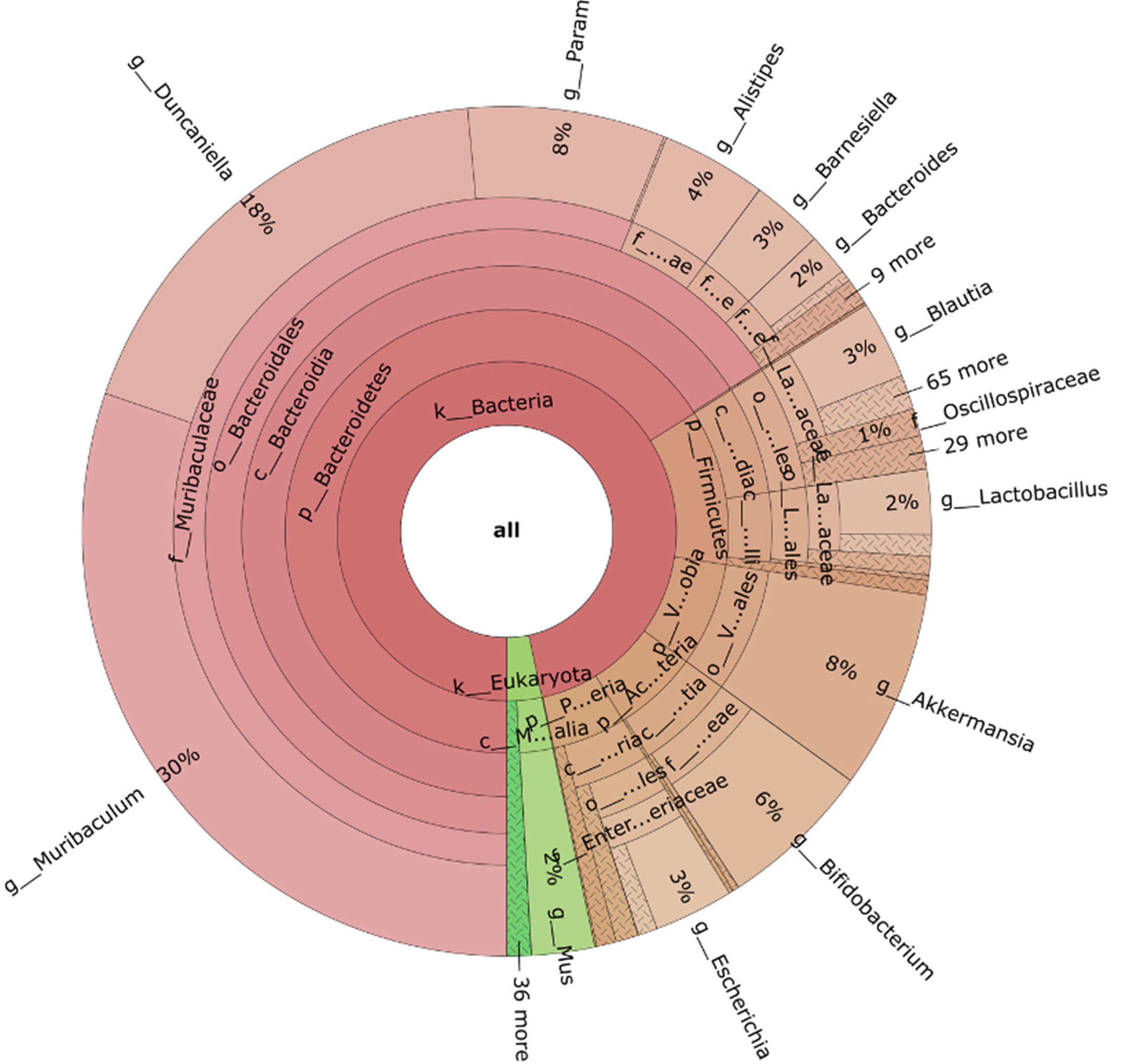 Image of metagenomic analysis of gut microbiome