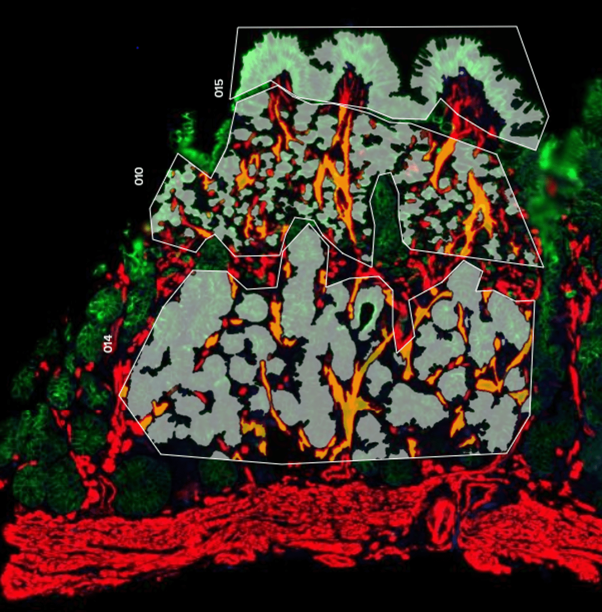 Visual representation of spatial patterns in research