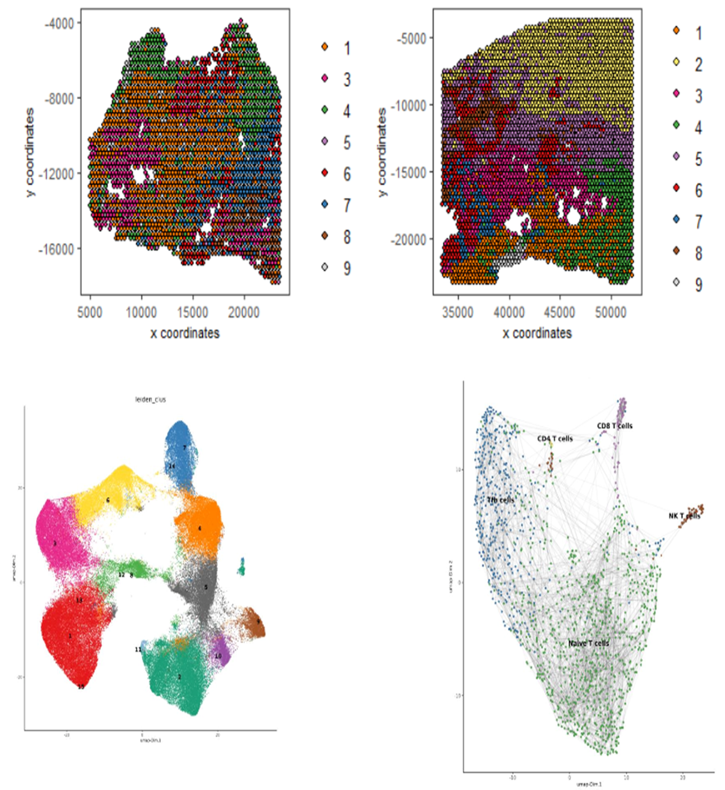 4 images showing different graphical representations of data from tumour tissues based on spatial transcriptomic analysis
