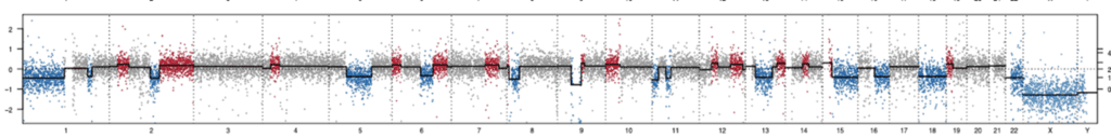 A linear graph showing gains and losses in human chromosomes from a cancer cell
